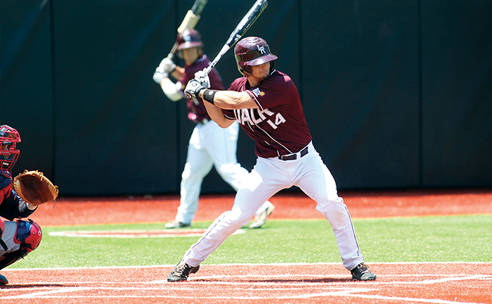 turf baseball field